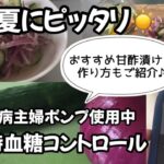 【1型糖尿病】暑い夏にピッタリな簡単甘酢漬け　昼食時血糖コントロール　食事内容　インスリンポンプ　ミニメド780G使用中