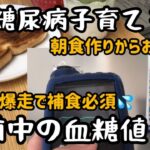 【1型糖尿病】午前中の血糖コントロール　低血糖にビビる子育てママ　朝食作り〜お昼まで　インスリンポンプ　ミニメド780G使用中