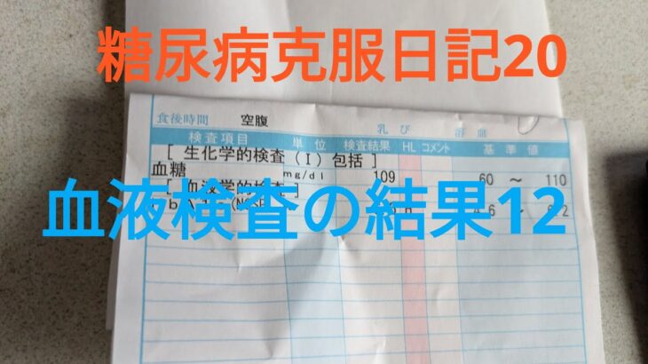 糖尿病克服日記20　血液検査の結果12