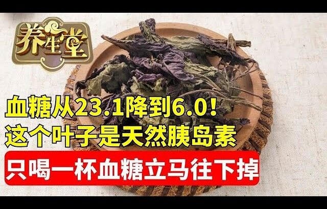 #养生堂 #糖尿病 #中医 #健康 血糖从23.1降到6.0！这个叶子是天然胰岛素，只喝一杯，血糖立马往下掉，从此告別糖尿病