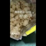 糖尿病484日目食べたもの記録 #糖尿病 #食事記録 #糖質制限