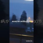 糖尿病が悪化したので毎日5000歩歩く #糖尿病 #雨漏り