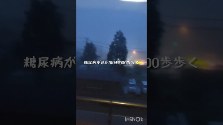 糖尿病が悪化したので毎日5000歩歩く #糖尿病 #雨漏り