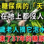 它是糖尿病的「天敵」，卻爛在地上都沒人要！72歲老人摘它泡水喝，一杯血糖從9.8降到4.0，結束了37年的糖尿病【養生常談】