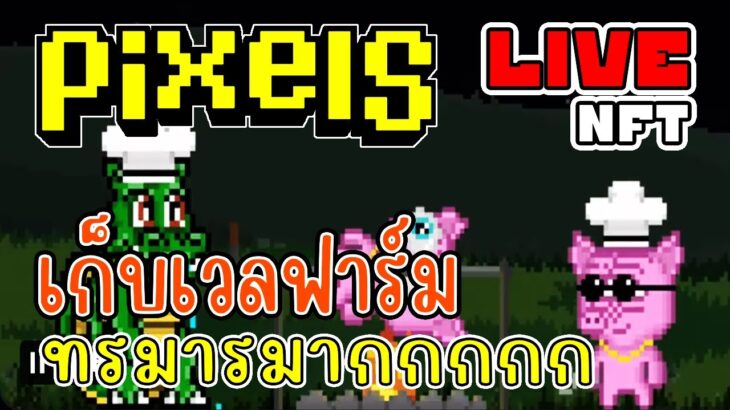 [ LIVE ] Pixel  (NFT) ตี 2 มีอะไรให้ลุ้นอีกไหม ? EP.201