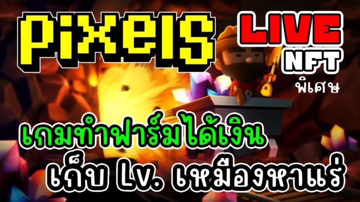 [ LIVE ] Pixel  (NFT) เน็ดหลุด55+ EP.194 (พิเศษ)