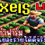 [ LIVE ] Pixel  (NFT) เวล 70 การันตี 600เม็ด+ EP.206