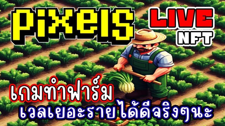 [ LIVE ] Pixel  (NFT) เวล 70 การันตี 600เม็ด+ EP.206