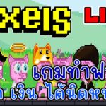 [ LIVE ] Pixel  (NFT) น้ำขึ้นให้รีบตัก ถ้ารักให้รีบบอก EP.197