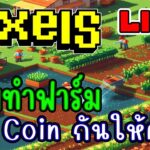 [ LIVE ] Pixel  (NFT) ทำฟาร์ม แสนสุข EP.202