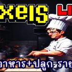 [ LIVE ] Pixel  (NFT) บอร์ดส่งได้พังไปแล้ว EP.205