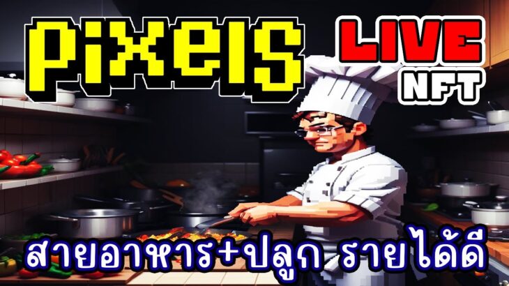 [ LIVE ] Pixel  (NFT) บอร์ดส่งได้พังไปแล้ว EP.205