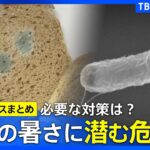 【熱中症】糖尿病のような症状？ペットボトル症候群に注意／とけたアイスは再冷凍NG？食中毒対策 など【暑さ対策まとめ】