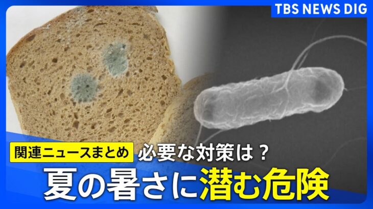 【熱中症】糖尿病のような症状？ペットボトル症候群に注意／とけたアイスは再冷凍NG？食中毒対策 など【暑さ対策まとめ】