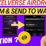 Pixelverse Airdrop Claim Process | Claim & Withdraw in Bank | PixelVerse NFT Claim I #Pixelverse