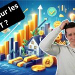 Reprise des NFT pour le bull run ? Intéressant d’investir ?