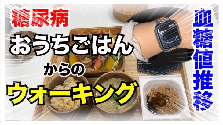 【糖尿病 Type1 食事】糖尿病の私がおうちごはんからの４０分ウォーキング！帰ってきてからの１時間血糖値推移をモニタリングしてみた！！