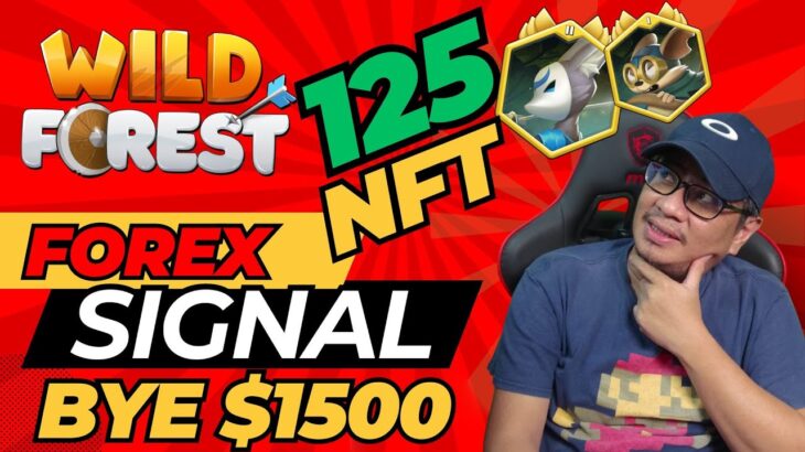 WILD FOREST UNBOXING 125 NFT – EACONOMY MANARA SIGNALS FAILED?