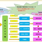 「ケトン体回路が、糖尿病、高血圧、脂質異常症、動脈硬化を遠ざける」信じられますか?本当なのです。私自身、「これ」だけで、医者にもいかず、薬も使わず自分自身で治しました!!