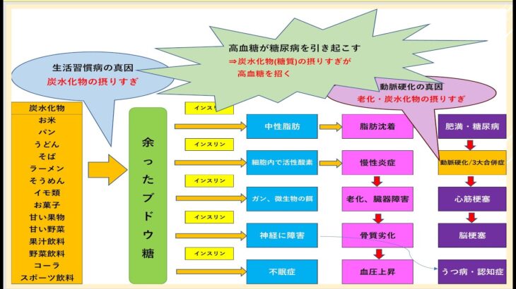 「ケトン体回路が、糖尿病、高血圧、脂質異常症、動脈硬化を遠ざける」信じられますか?本当なのです。私自身、「これ」だけで、医者にもいかず、薬も使わず自分自身で治しました!!