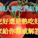 🍅 糖尿病人能吃西紅柿嗎？生吃好還是熟吃好？專家給你權威解答！| 樂活老年