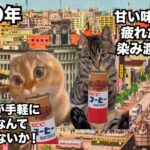 【缶コーヒー】糖尿病まっしぐら！？毎日飲むと中毒症状を起こす悪魔の飲み物 #猫マニ #猫ミーム