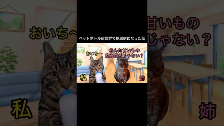 ペットボトル症候群で糖尿病になった話 #猫ミーム #猫マム