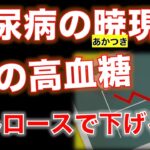 【糖尿病】朝の血糖値が高い！！暁現象 早朝の高血糖をアルロースが下げる!?