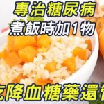 專治糖尿病！煮飯時加1物，勝過所有降血糖藥，血糖想升高都難！ |三味書屋