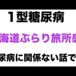 【1型糖尿病】北海道ぶらり旅所感〜糖尿病に関係ない話です〜