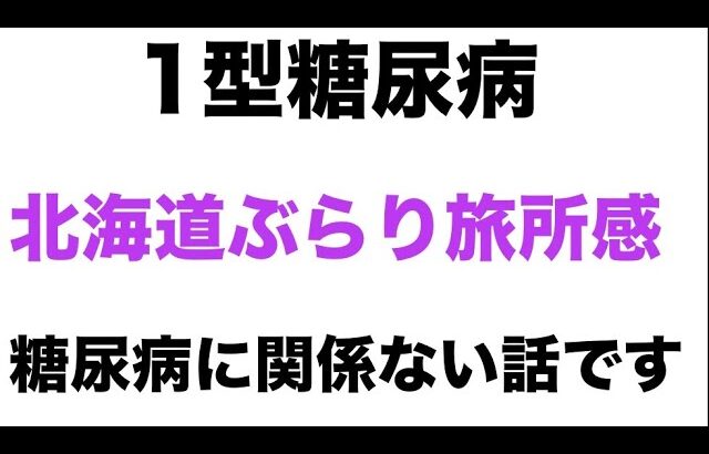 【1型糖尿病】北海道ぶらり旅所感〜糖尿病に関係ない話です〜