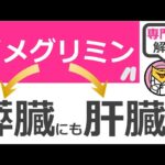 1つの薬で2つの効き目がある糖尿病薬