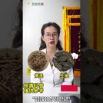 糖尿病記好2味中藥很多人都喝得起！|花開富貴|願您的人生如花開富貴般，健康富足且精彩！