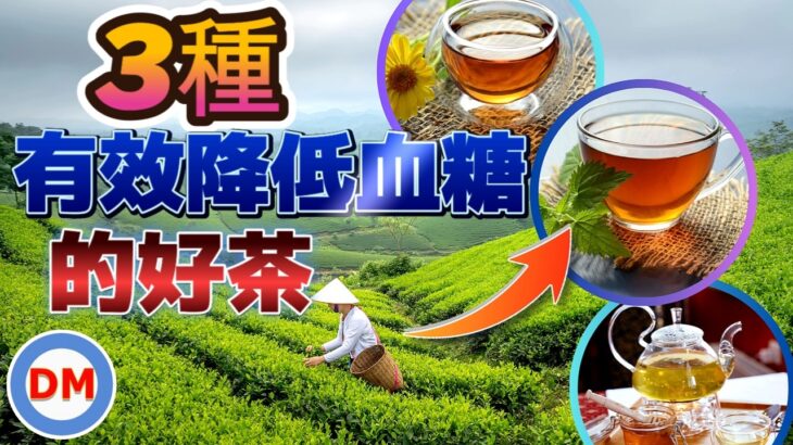 【糖尿病茶】3種有效降低血糖的好茶，適合糖尿病喝的健康茶類，降血糖的茶。