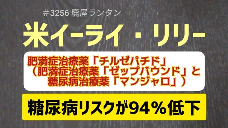 ＃3256 米イーライ・リリーの肥満症治療薬、糖尿病リスクが94％低下－「チルゼパチド」（肥満症治療薬「ゼップバウンド」と糖尿病治療薬「マンジャロ」）の長期的な利点を裏付けるもの。2024.8.25