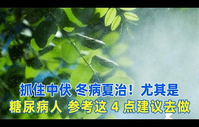 抓住中伏，冬病夏治！尤其是糖尿病人，參考這4點建議去做！｜#糖尿病 #血糖