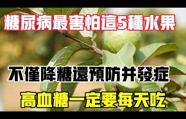 糖尿病最怕這5種水果，再窮也要吃，不僅降糖還可以預防糖尿病併發症，【靜談養生】