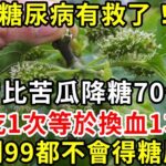 糖尿病有救了！它比苦瓜降糖70倍，吃1次等於換血1次，血糖降了，高血脂消失了！活到99都不會得糖尿病【養生驛站】