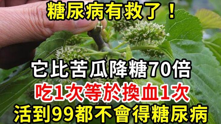 糖尿病有救了！它比苦瓜降糖70倍，吃1次等於換血1次，血糖降了，高血脂消失了！活到99都不會得糖尿病【養生驛站】