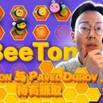 🐝 BeeTon：最甜蜜的DeFi冒险！ （被动收入和NFT挖矿）