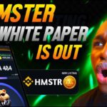 HAMSTER KOMBAT WHITE PAPER SUMMARY-  Launch Date, Gameplay, In-game NFT, SKIN, Level and Tokenomics