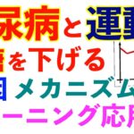 【前編】血糖値を下げる運動｜筋トレを使った糖尿病の治し方・予防｜予備軍の人も参考にしてください｜空腹時血糖値・HbA1cを下げる方法