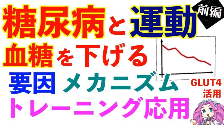 【前編】血糖値を下げる運動｜筋トレを使った糖尿病の治し方・予防｜予備軍の人も参考にしてください｜空腹時血糖値・HbA1cを下げる方法