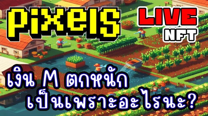 [ LIVE ] Pixel (NFT) 1M = 300 บาท EP.226