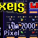 [ LIVE ] Pixel (NFT) เปิด 2000 ออเดอร์ไปเลย EP.230