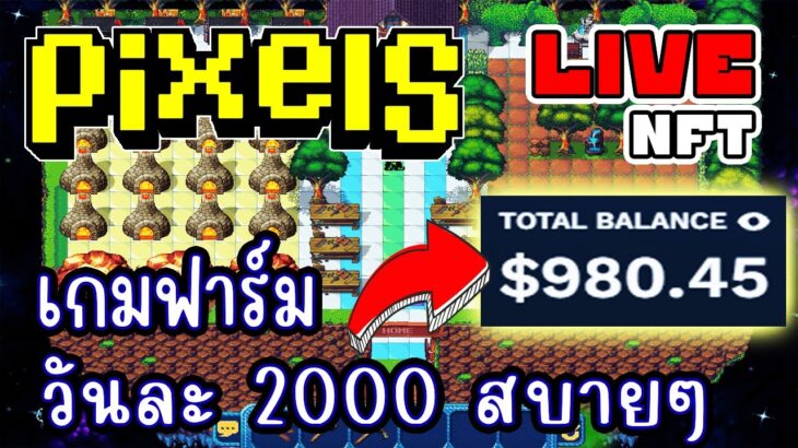 [ LIVE ] Pixel (NFT) เวลปลูก 64 แล้ว EP.233