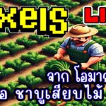 [ LIVE ] Pixel  (NFT) เก็บเวลปลูก 75 ดีจริงๆ EP.216