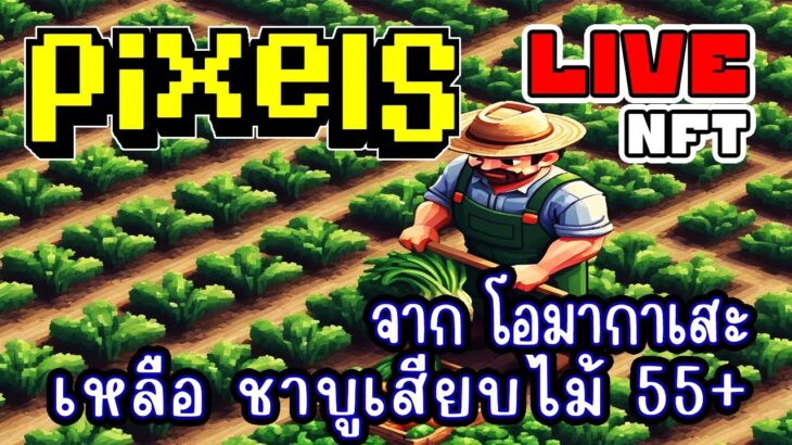 [ LIVE ] Pixel  (NFT) เก็บเวลปลูก 75 ดีจริงๆ EP.216