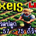 [ LIVE ] Pixel (NFT) เก็บเวลปลูก 75 กันเถอะ EP.227