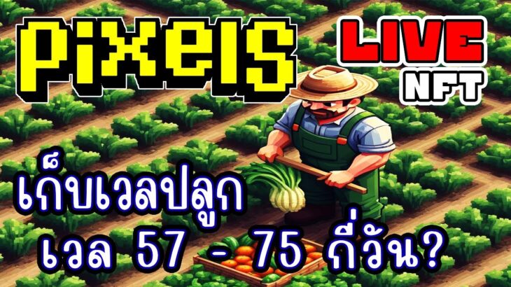 [ LIVE ] Pixel (NFT) เก็บเวลปลูก 75 กันเถอะ EP.227